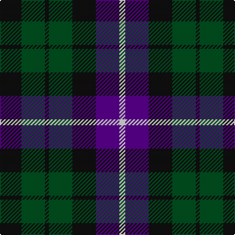 K/22 G24 K4 G24 K24 P24 LN/6 tartan Tartan detail