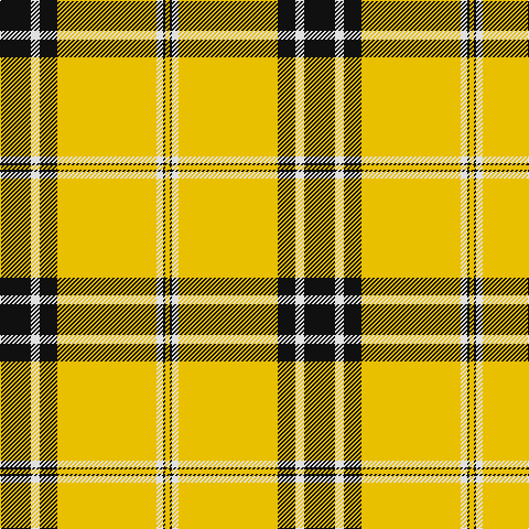Tartan detail