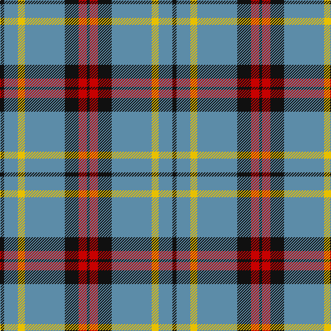 K/6 B20 Y10 B58 K20 R12 K/4 tartan Tartan detail