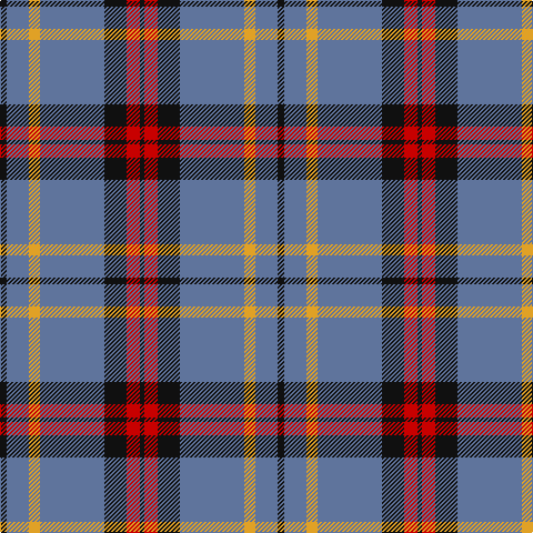 K/6 B20 Y10 B58 K20 R12 K/4 tartan Tartan detail