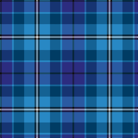 K/6 DB36 B6 DBa36 B36 K6 LN/6 tartan Tartan detail