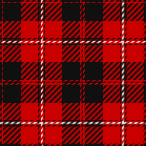 Tartan detail