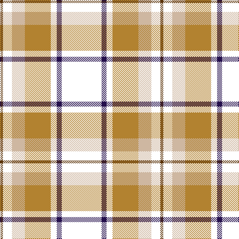 Tartan detail