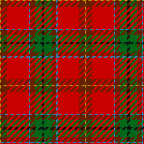 DY/4 T20 R72 B4 T16 G24 K/8 tartan Tartan detail