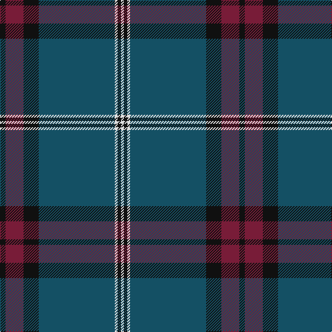 Tartan detail
