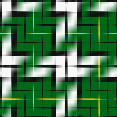 K/9 W38 K22 G31 K5 G31 Y/5 tartan Tartan detail