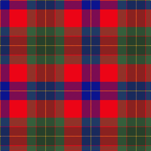 Y/2 DB28 R56 N28 R2 DN28 Y/2 tartan Tartan detail