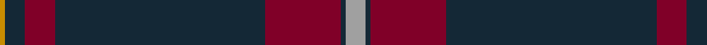 Lion Brand Sportswear example sett