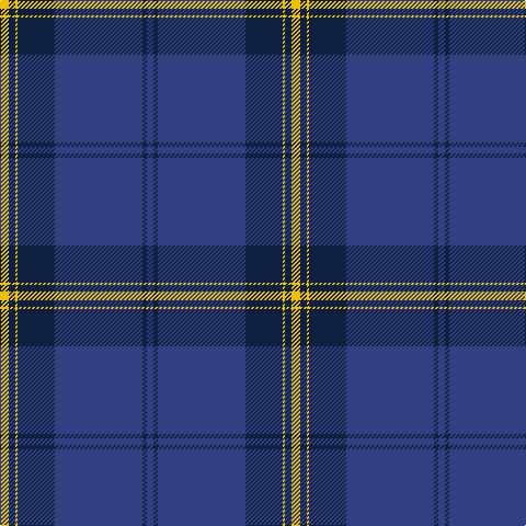 Tartan detail