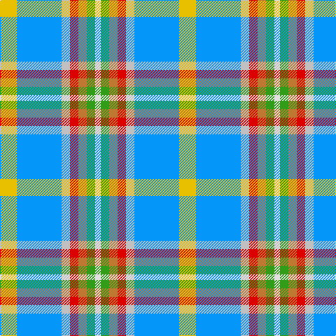 LN/8 G12 DO12 R12 N12 B64 Y/24 tartan Tartan detail