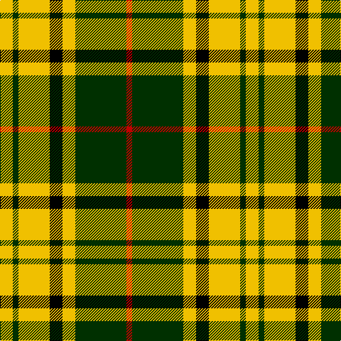 R/8 DG72 Y18 K18 Y44 DG8 Y/18 tartan Tartan detail