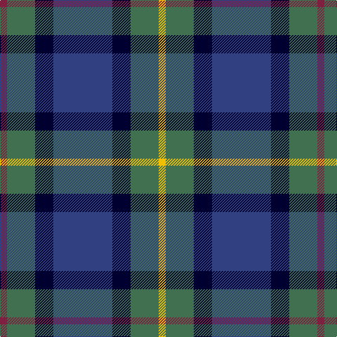 Tartan detail