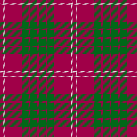 R/6 G24 R6 G24 R60 LN4 R/12 tartan Tartan detail
