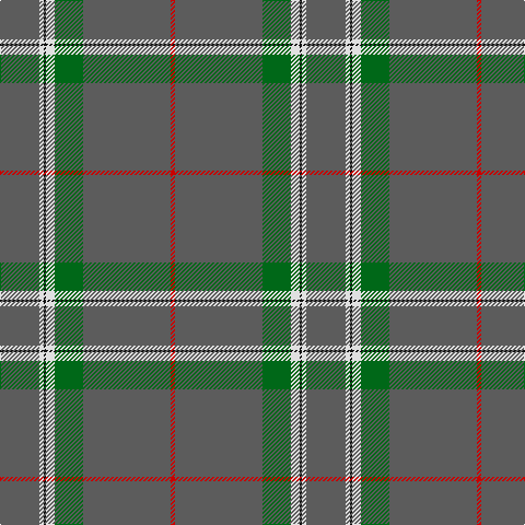 Tartan detail