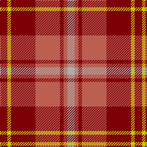 DR/12 Y6 DR40 LT40 DR6 LT6 N/12 tartan Tartan detail