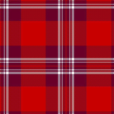 R/4 DR12 W4 DR6 W10 DR52 R/104 tartan Tartan detail