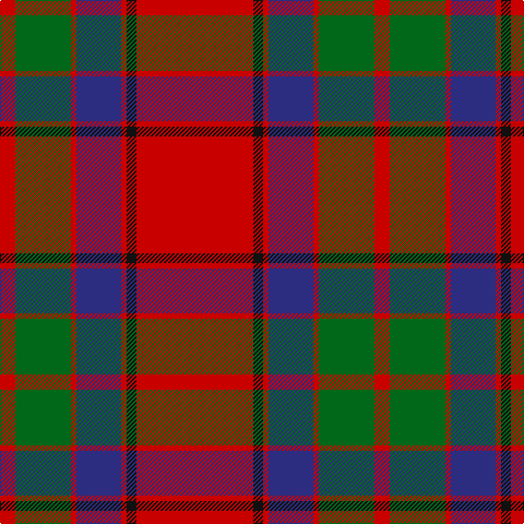 R/14 G51 R5 DB41 R5 K9 R/107 tartan Tartan detail