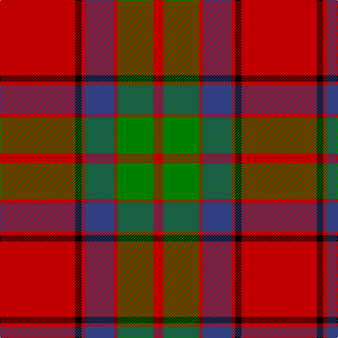 R/14 G51 R5 B41 R5 K9 R/107 tartan Tartan detail