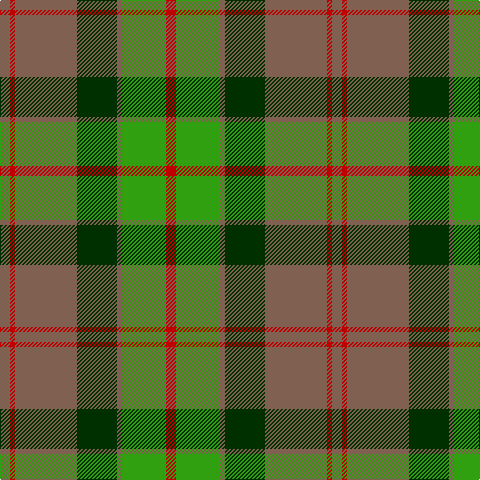LT/10 R5 LT62 DG40 LT5 G44 R/10 tartan Tartan detail