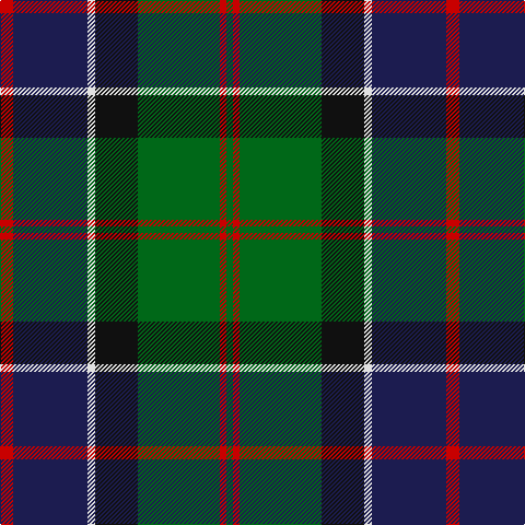 G/6 R6 G75 K39 LN7 DB68 R/12 tartan Tartan detail