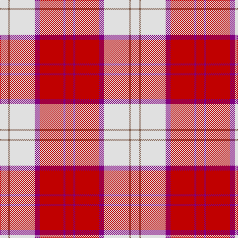 LN/16 LT4 LN50 P10 R48 P4 R/16 tartan Tartan detail