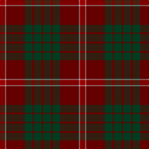 Tartan detail