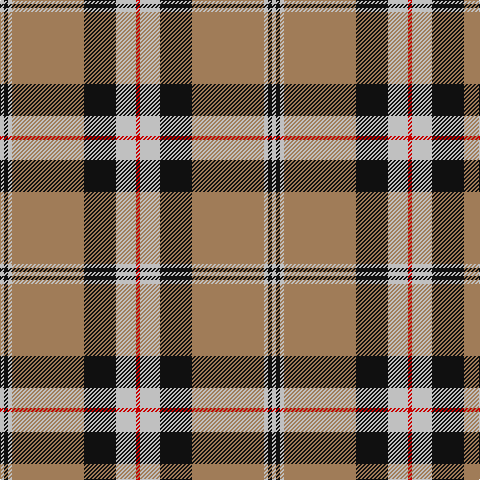 Tartan detail