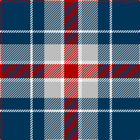 R/4 DB48 YY4 DB20 LN28 YY6 R/24 tartan Tartan detail