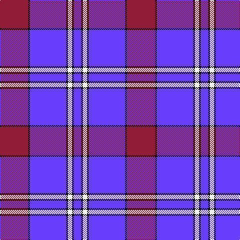 DR/56 K4 P72 K4 W8 K4 P/14 tartan Tartan detail