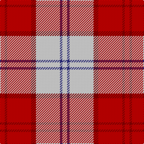 LN/8 DB4 LN40 DR8 R40 DR4 R/8 tartan Tartan detail