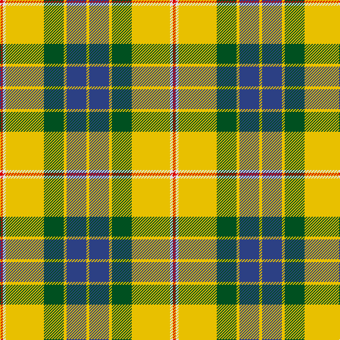 R/4 LN4 Y54 G28 Y4 B28 Y/4 tartan Tartan detail