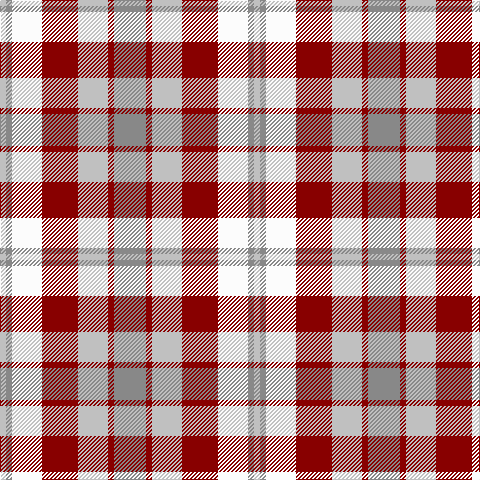 N/6 Na6 W30 DR36 N30 DR6 Na/32 tartan Tartan detail