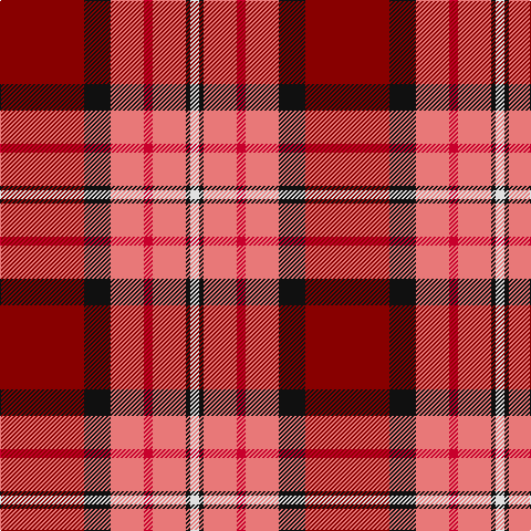 DR/76 K24 LR30 R8 LR30 K4 LN/8 tartan Tartan detail