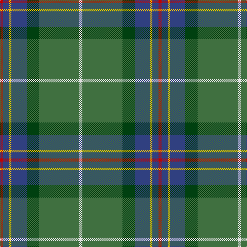 LN/6 G78 DG24 B30 Y4 B12 R/6 tartan Tartan detail