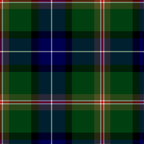 LN/4 DB42 K24 DG74 T20 LN4 R/6 tartan Tartan detail