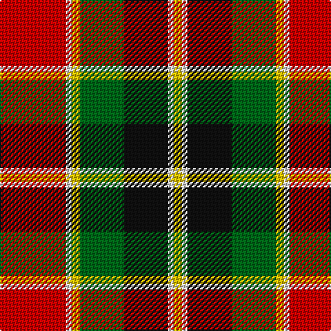 R/48 LN4 Y6 G32 K32 LN4 Y/6 tartan Tartan detail