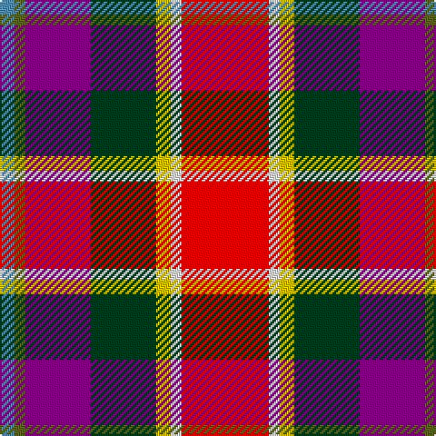 Tartan detail