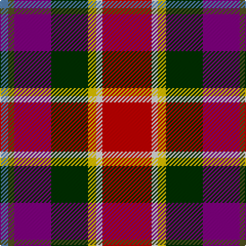 B/8 T6 P36 DG36 Y8 LN6 R/48 tartan Tartan detail
