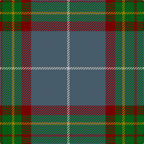 DR/4 G16 DY4 G12 DR16 N60 LN/4 tartan Tartan detail