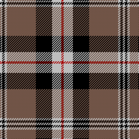 Tartan detail