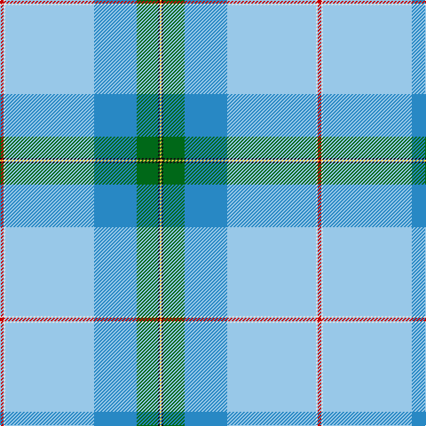 Tartan detail
