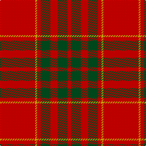 R/6 G16 R12 G16 R6 Y3 R/58 tartan Tartan detail