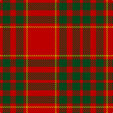 R/6 G16 R12 G16 R6 Y3 R/58 tartan Tartan detail