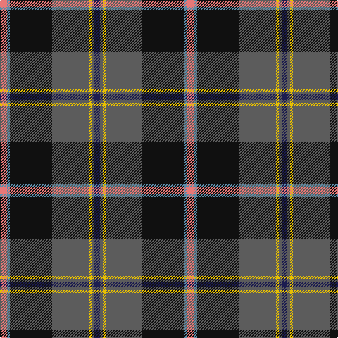 DB/8 N4 Y4 N52 K60 B4 LR/10 tartan Tartan detail