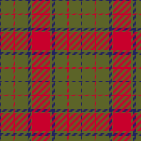 DB/4 G42 R6 G42 DB10 G6 R/60 tartan Tartan detail