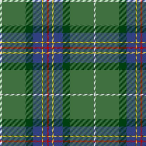 LN/6 G78 DG24 B30 Y4 B12 R/6 tartan Tartan detail