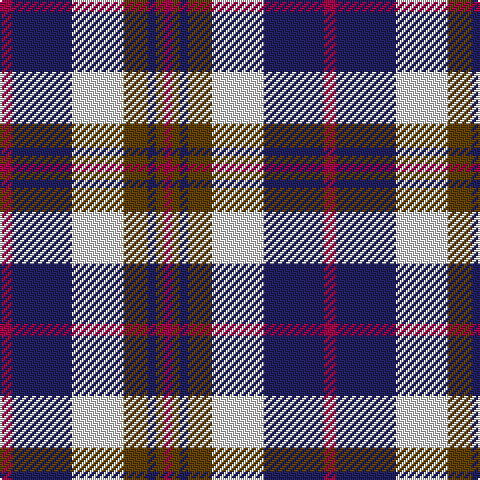 R/6 DB30 LN26 T12 DB4 T4 R/4 tartan Tartan detail