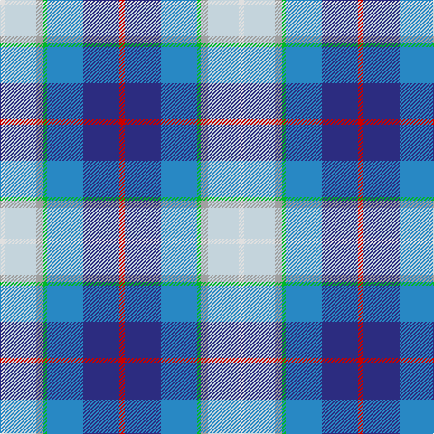 LN/6 N34 Na8 G4 B40 DB40 R/6 tartan Tartan detail