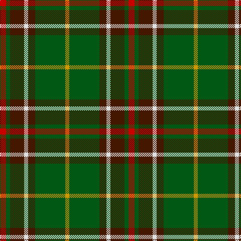 DY/8 G60 DR14 LN8 DR28 G8 R/12 tartan Tartan detail