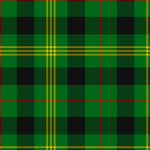 R/6 G48 K56 G38 Y6 G6 Y/6 tartan Tartan detail